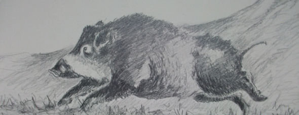 Obra pictórica Miguel Rosillo